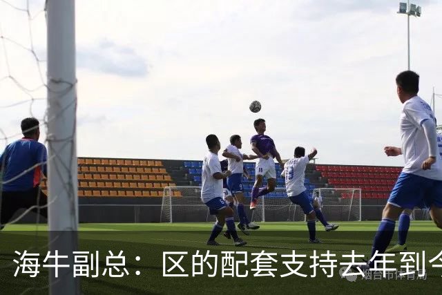 海牛副总：区的配套支持去年到今年都没落实，资金缺口4000万